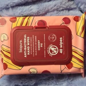 Biopure Anti Bacterual Hand Wipes